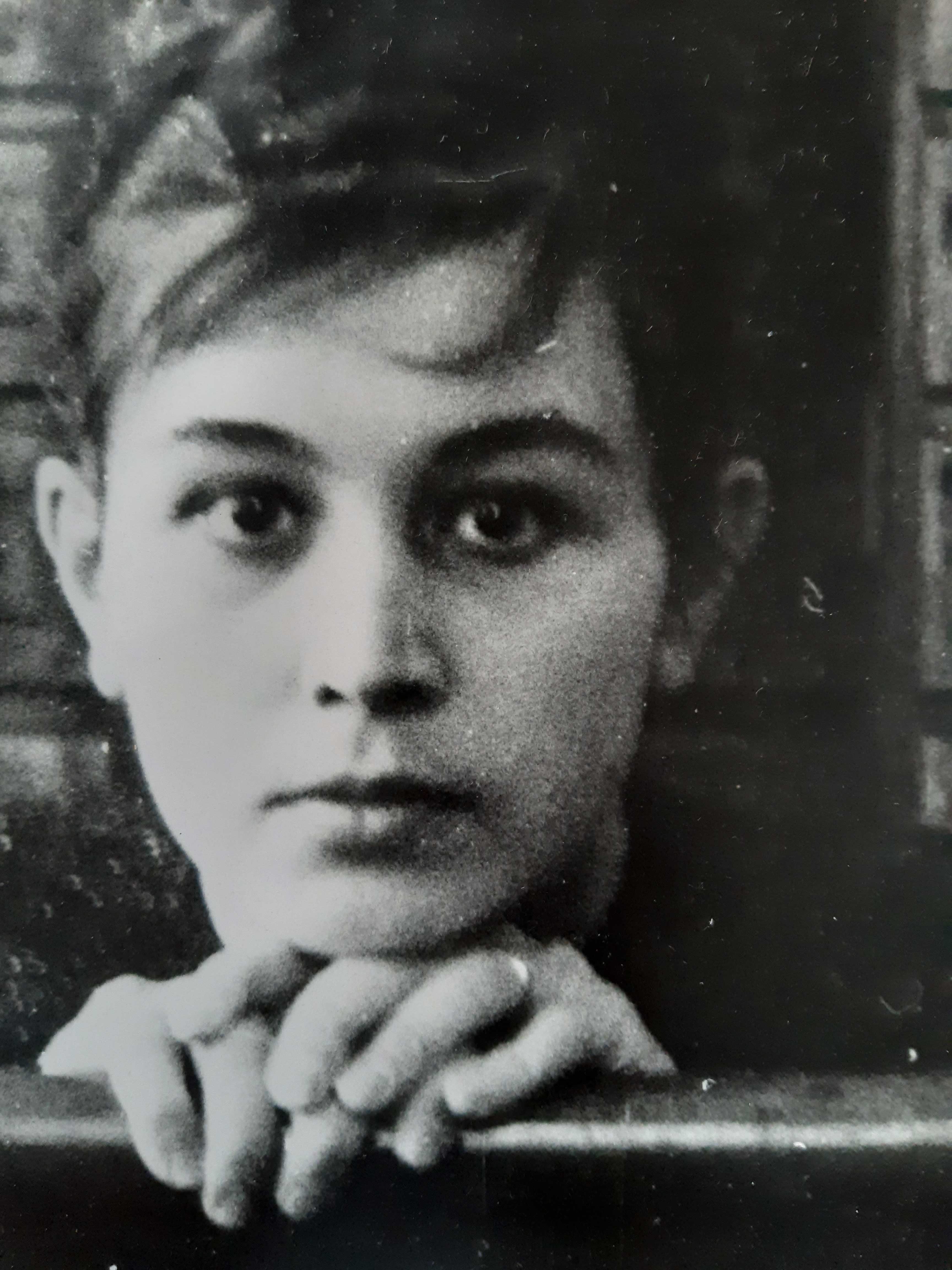 gocarova 1